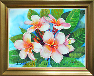 300x243 Pink White Flowers Plumeria Original Watercolor Painting Wall Art