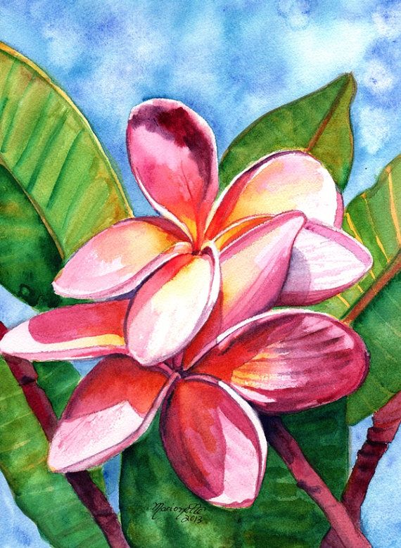 570x779 Playful Plumeria Watercolor Painting Original From Kauai Hawaii