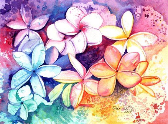 570x421 Plumeria Watercolor Original Plumeria Art Tropical Flowers Etsy