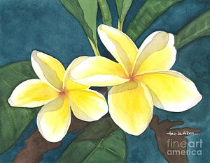300x234 Plumeria Watercolor Paintings Fine Art America