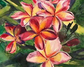 340x270 Plumeria Watercolor Etsy