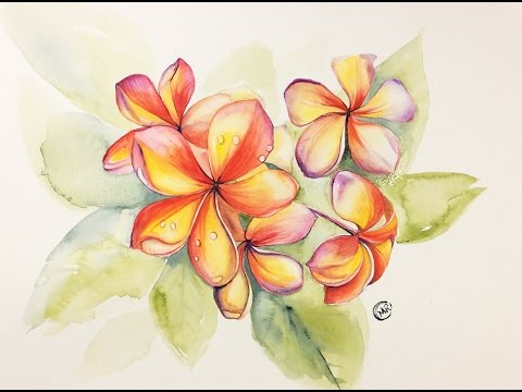 480x360 Watercolor Plumeria Flowers Painting Demonstration