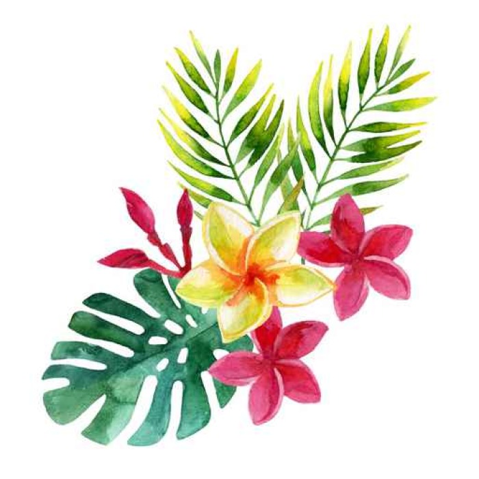 700x700 Plumeria Flowers In Watercolor Sticker We Live To Change