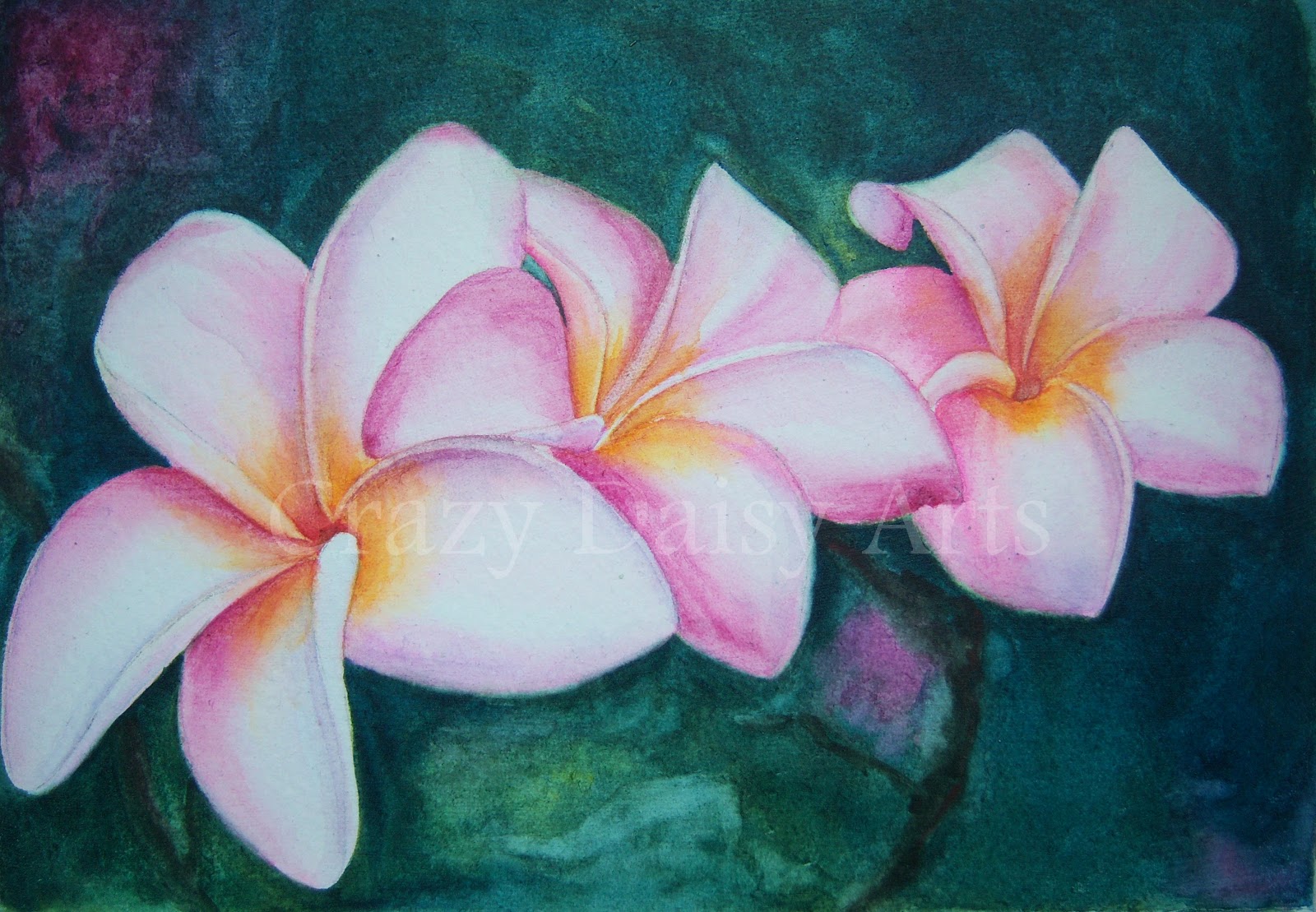 1600x1109 Crazy Daisy Arts Finished Plumeria Watercolor