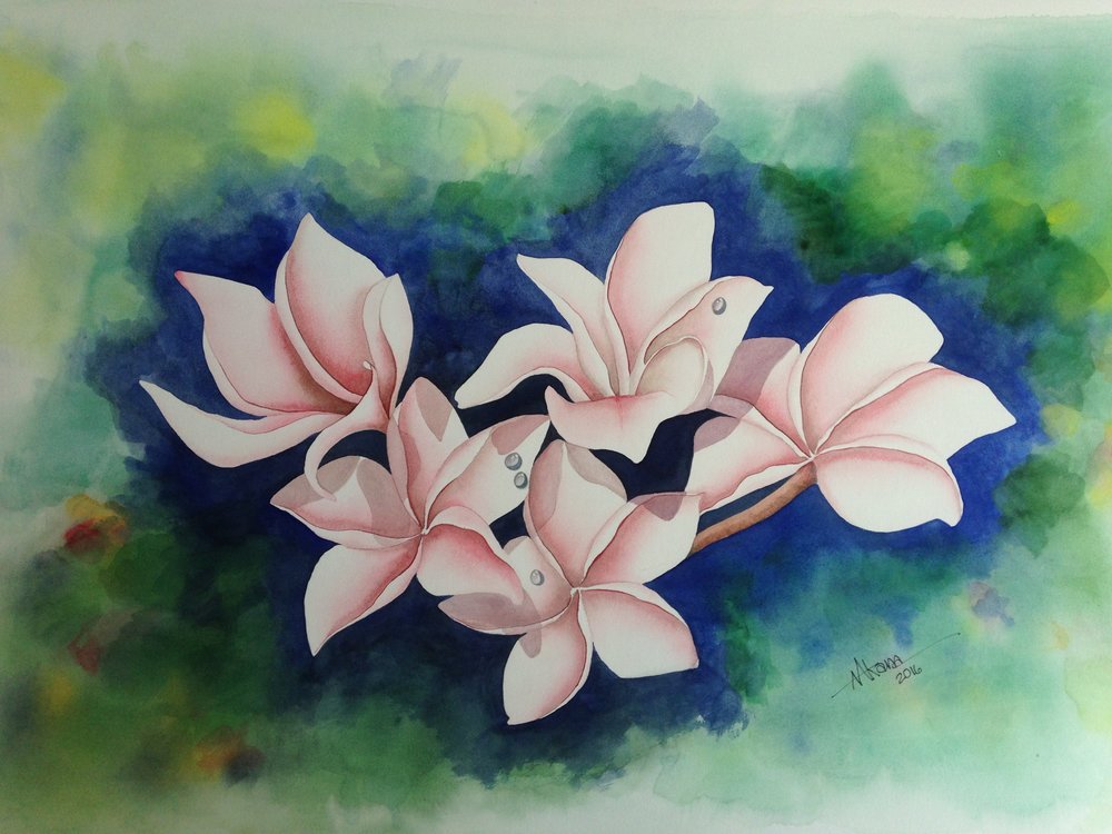 1000x750 Delicate Pink Plumeria Watercolor Print Alan Akana Gallery