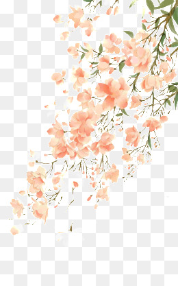260x417 Watercolor Flowers Png, Vectors, Psd, And Clipart For Free