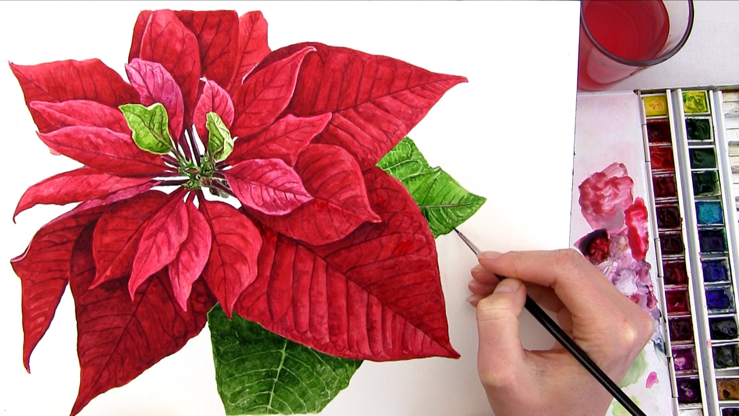 2560x1440 How To Paint A Realistic Poinsettia For Your Christmas Card In