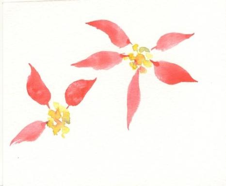 466x384 Painting Poinsettias Watercolor Tips By Susie Short