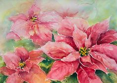 236x167 306 Best Poinsettia Images Watercolour Paintings