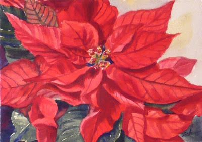 400x281 Zeh Original Art Blog Watercolor And Oil Paintings Red Poinsettia