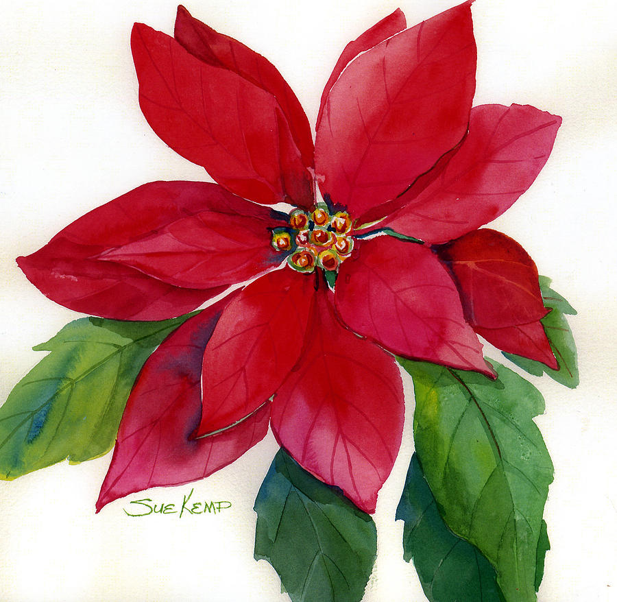 900x878 Christmas Poinsettia Painting By Sue Kemp