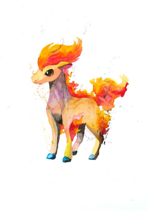 570x816 Ponyta