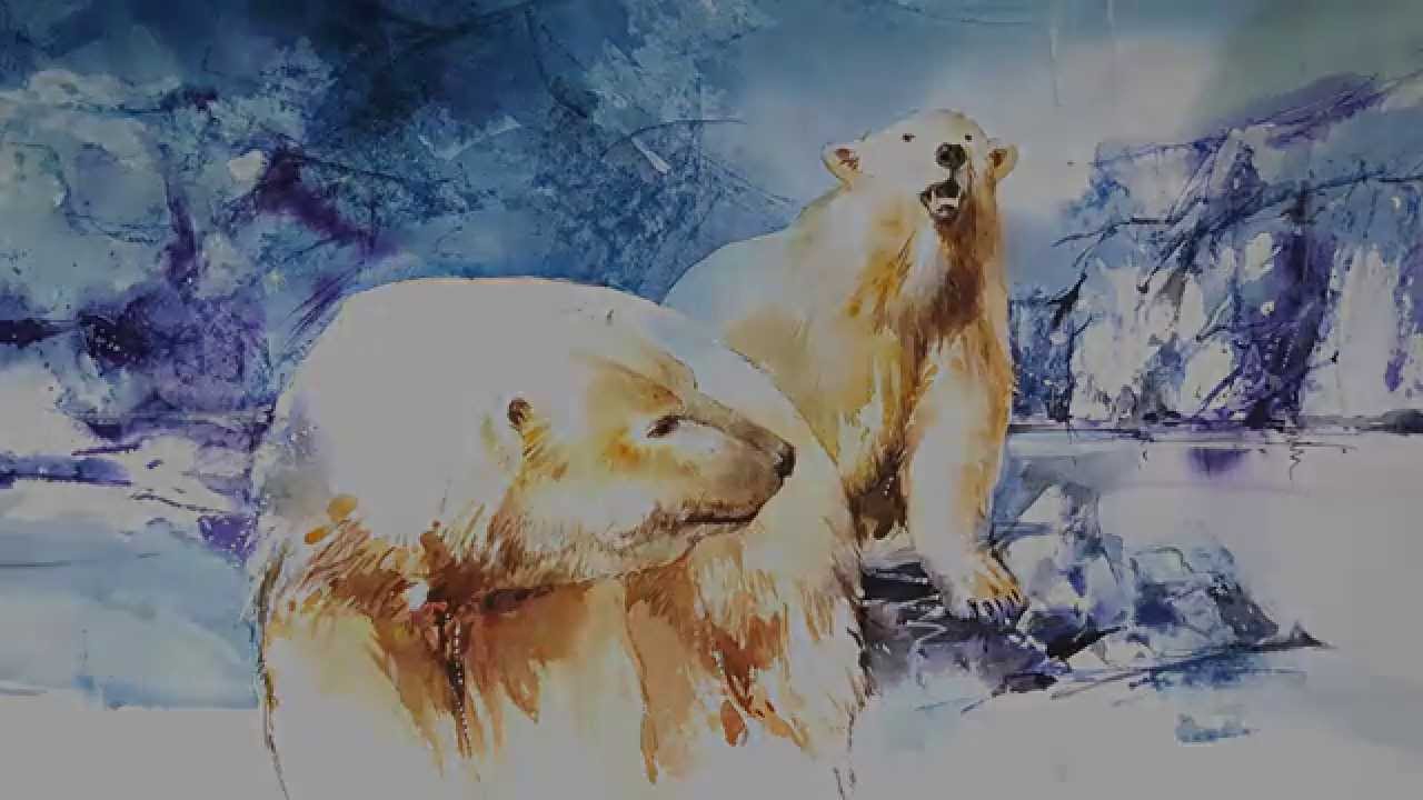 1280x720 Polar Bear