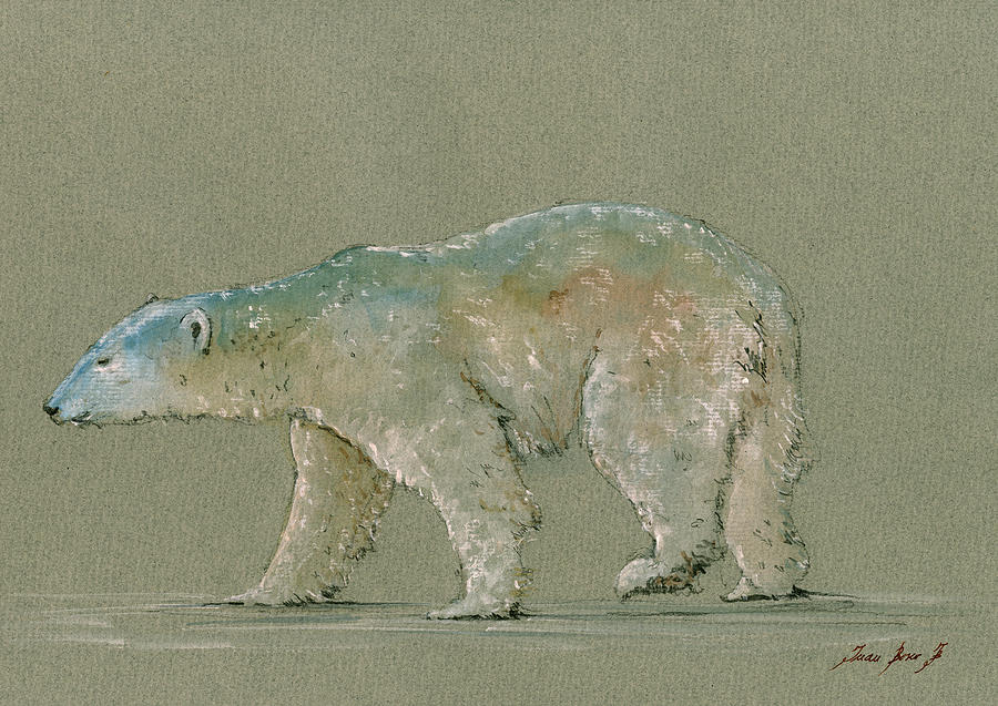 900x637 Polar Bear Original Watercolor Painting Art Painting By Juan Bosco