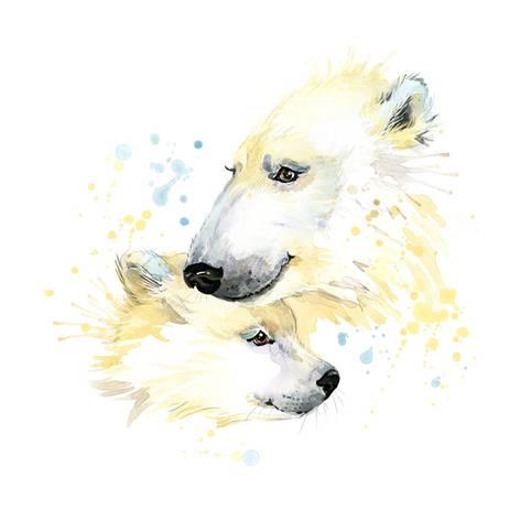 473x473 Polar Bear T Shirt Graphics, Polar Bear Illustration With Splash