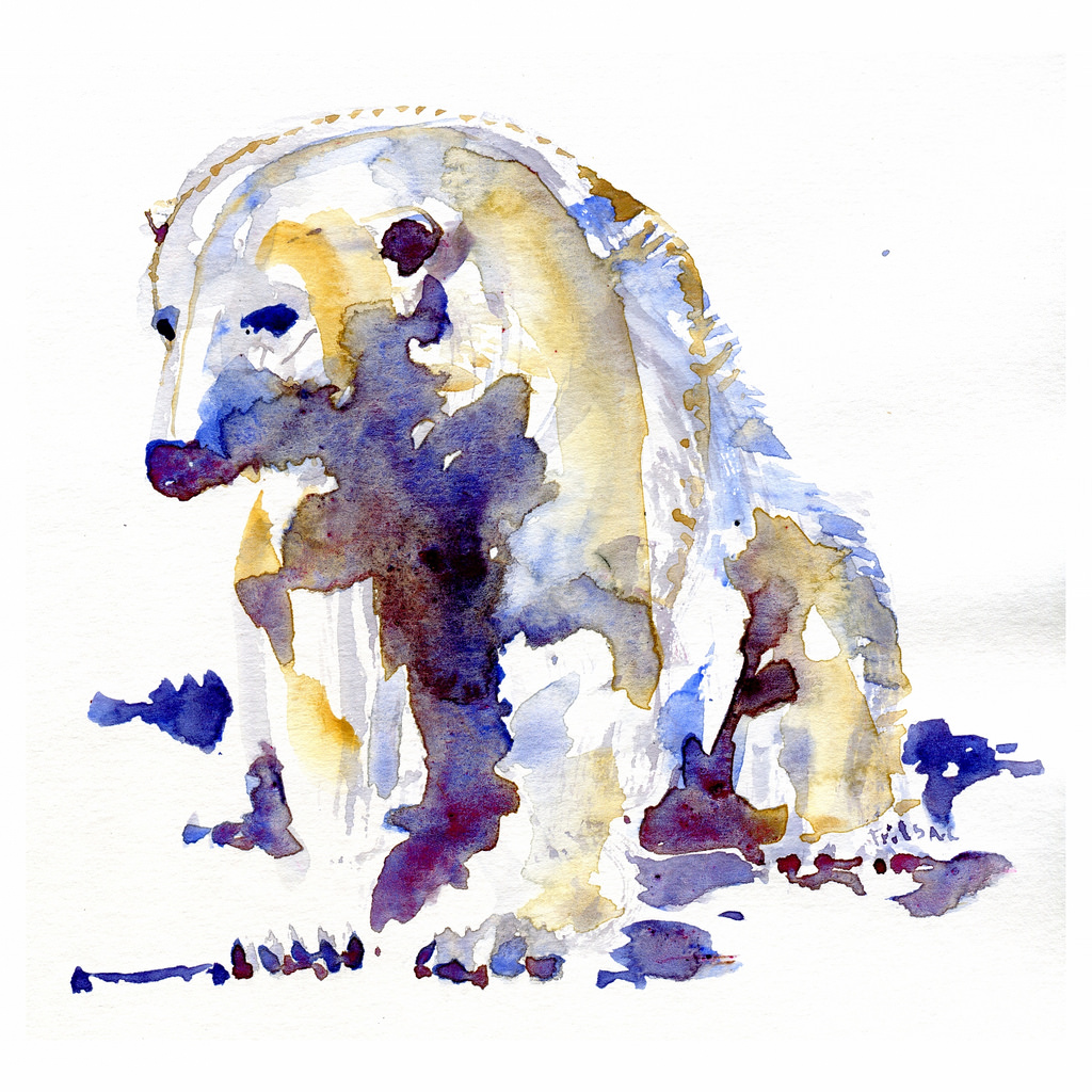 1024x1024 Polar Bear Watercolor By Frits Ahlefeldt,