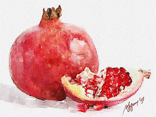 500x375 Pomegranate 002 In 2018 Paintings Watercolor