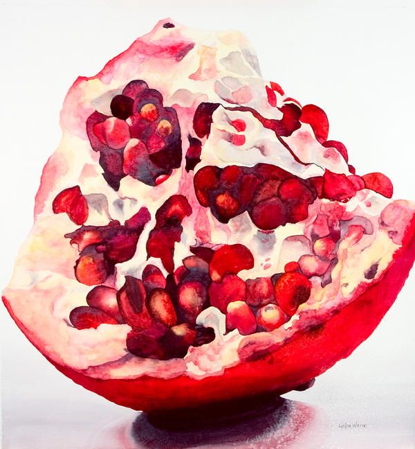 600x648 Pomegranate Painting
