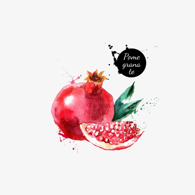650x650 Pomegranate Watercolor, Watercolor Clipart, Red, Fruit Png Image