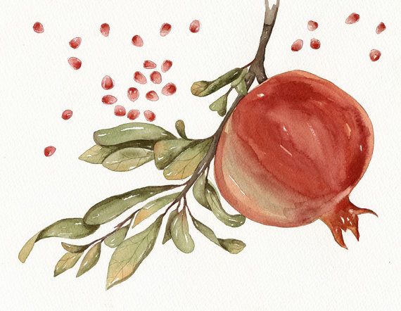 570x442 Pomegranate Watercolor Art Original Painting By Ot Lorisworld