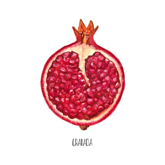 570x570 Pomegranate Watercolor Painting Food Illustration Arte De Etsy