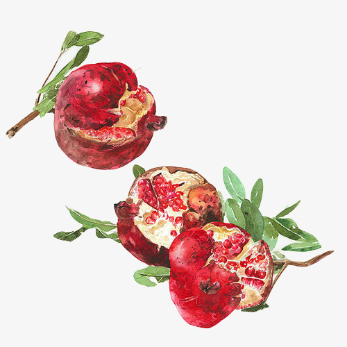 500x500 Pomegranate Watercolor Picture Material, Fruit, Red Pomegranate