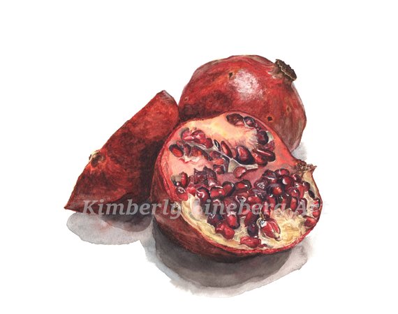 570x450 Pomegranate Watercolor Print Kitchen Art Pomegranates Etsy