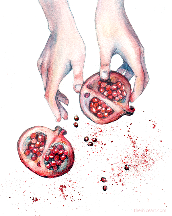 600x750 Pomegranate Watercolor By Disco Mouse