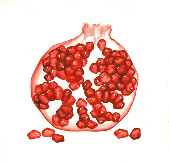 570x549 Pomegranate Decor Red Fruit Print Pomegranate Watercolor Still Etsy