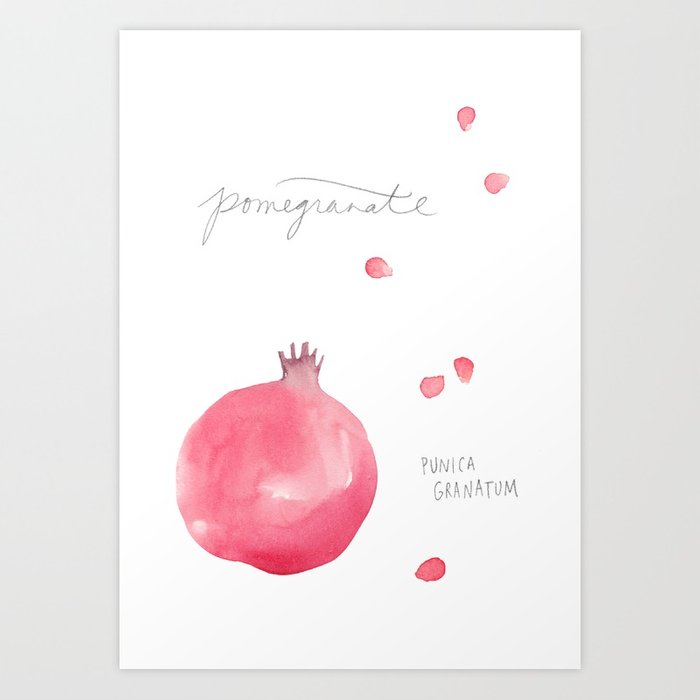 700x700 Pomegranate Watercolor Art Print By Erinellis Society6