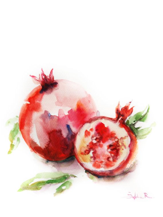 570x760 Still Life With Pomegranates Watercolor Painting Art Print, Red