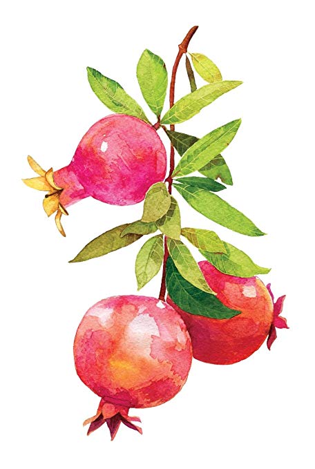 456x679 Pomegranate Watercolor Art Kitchen Wall Shelf