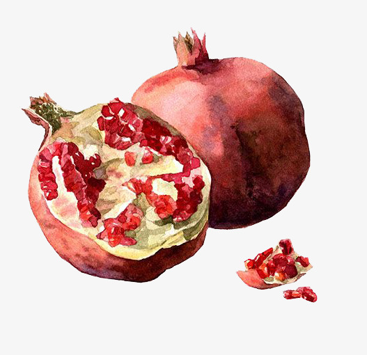 527x510 Watercolor Pomegranate, Watercolor Clipart, Watercolor