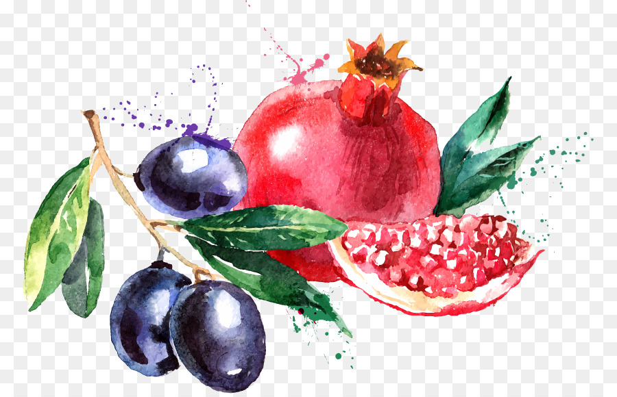 900x580 Watercolor Painting Fruit Drawing