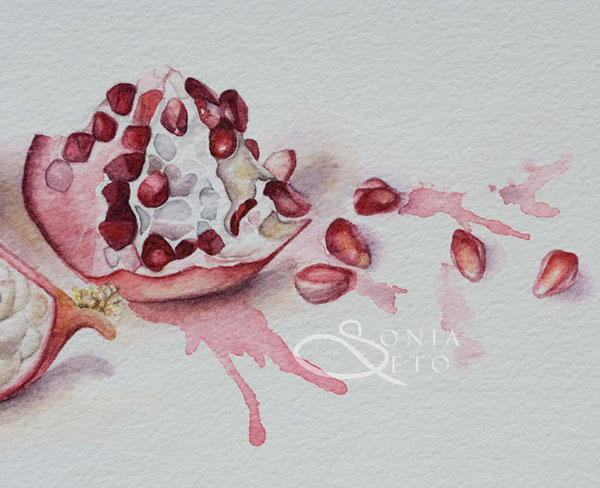 600x488 Deconstructed Pomegranate (Watercolour) On Behance