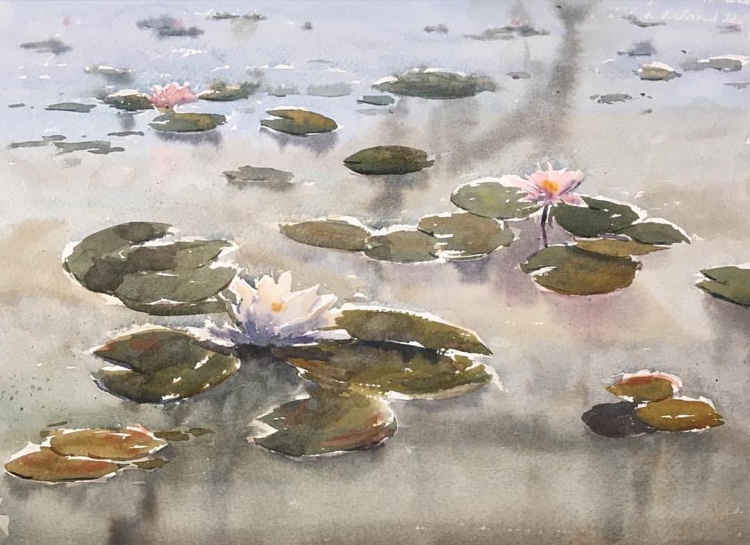 1080x785 Waterlily Pond