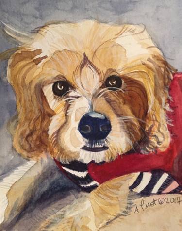 375x476 Kipper, Dog Portrait, Cavalier King Poodle, On Watercolor Paper
