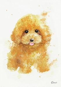 211x300 Poodle Paintings Fine Art America