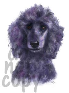 225x300 Poodle Watercolor Dog