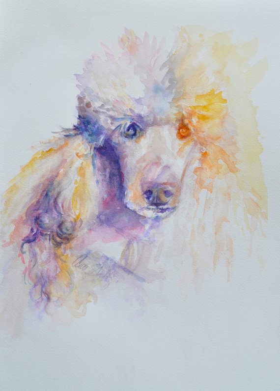 570x796 Poodle Watercolor Fine Art Print Etsy