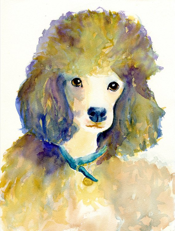 570x752 Poodle Dog Art Poodle Art Print Poodle Dog Art Watercolor Etsy