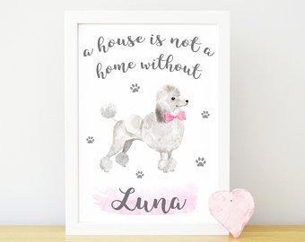 340x270 Poodle Watercolor Etsy