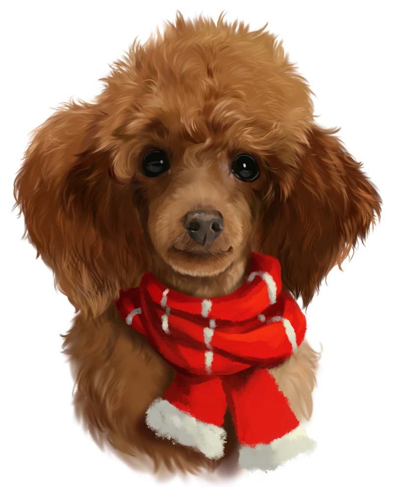 800x992 Red Poodle Watercolor Painting By Kajenna