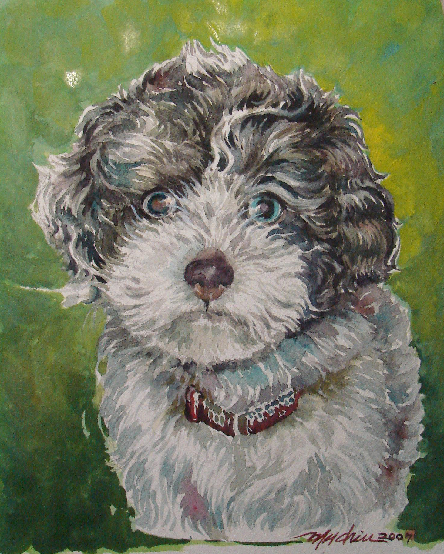1464x1828 Toy Poodle