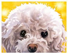 225x183 White Poodle Watercolor Dog 11 X 14 Art Print Signed By Artist