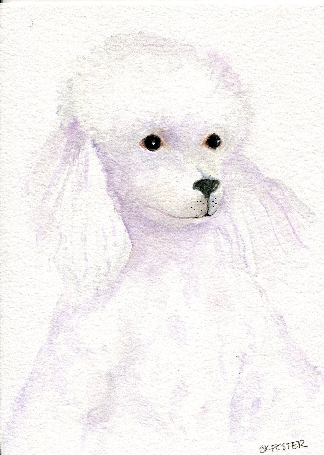 1321x1855 White Poodle Painting Original 5 X 7 Poodle Art, Poodle Wall Art
