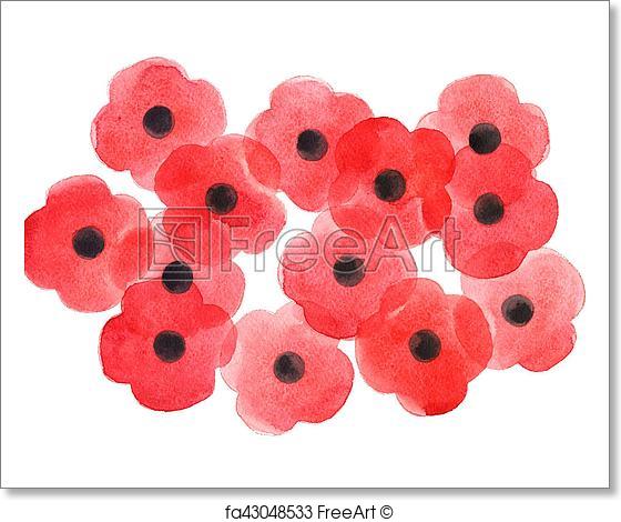 560x470 Free Art Print Of Watercolor Poppy Flower, Remembrance Day White
