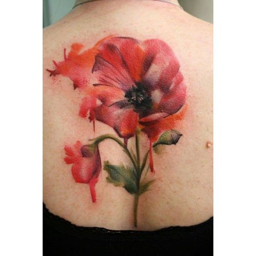 500x500 52 Stunning Watercolor Poppy Tattoo Ideas