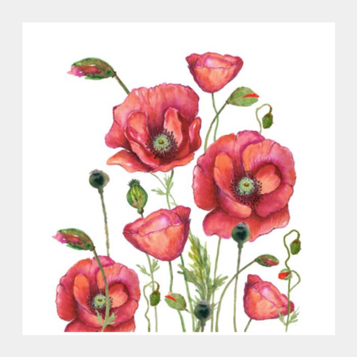 700x700 Poppy Flowers Watercolor Painting Elegant Floral Art Design Square