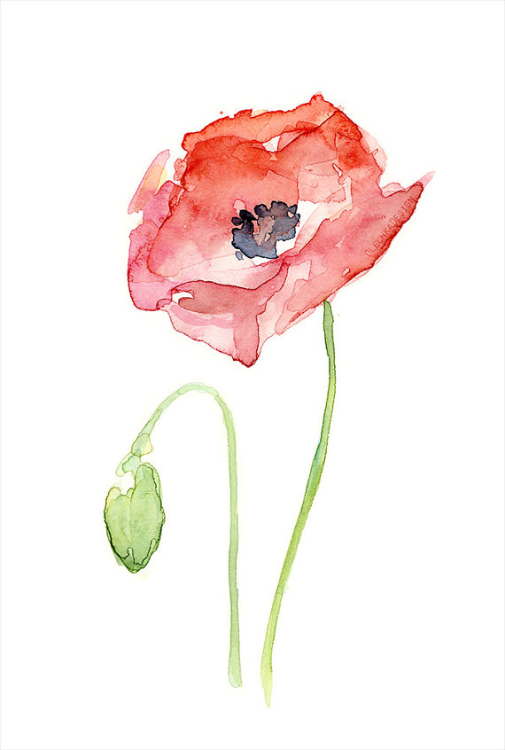 570x846 Red Poppy Flower Art Print Of Watercolor Painting, Plants, Nature